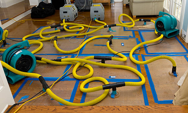 Professional Crawl Space Water Removal technician working in Beverly Hills, FL